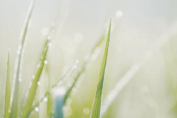 平安百萬醫(yī)療保險(xiǎn)怎么在網(wǎng)上買
