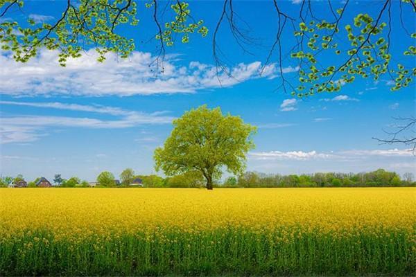 太平洋保險(xiǎn)公司可靠嗎