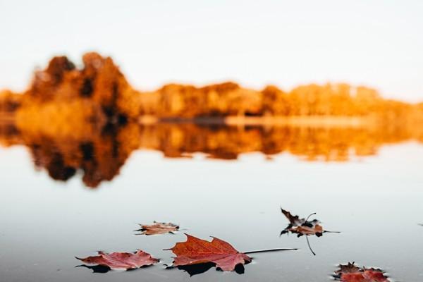 <a href=