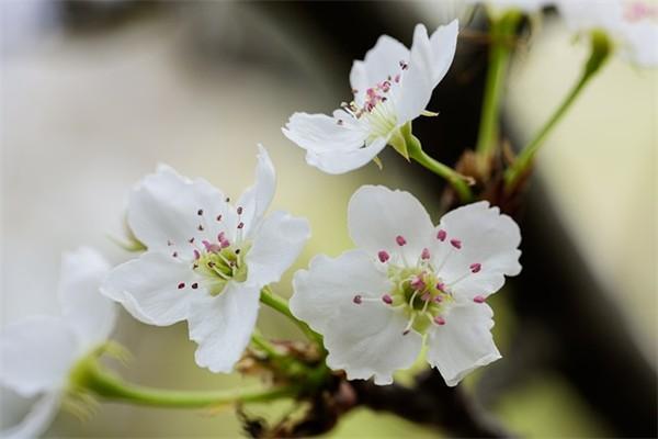 惠蓉保怎么報保險