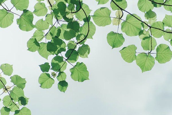 社保包含哪幾種保險(xiǎn)