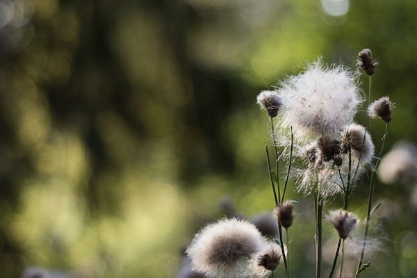 意外險哪個保險公司最好