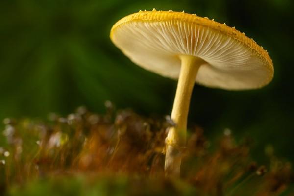 北京生育保險報銷范圍和標準