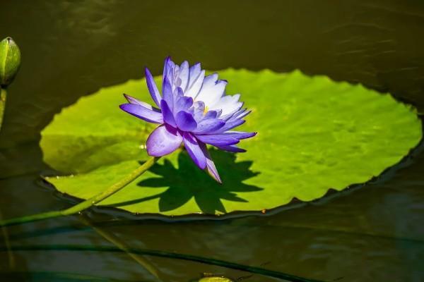 老人社保年審網(wǎng)上認證