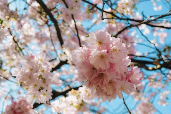 養(yǎng)老保險(xiǎn)交幾年