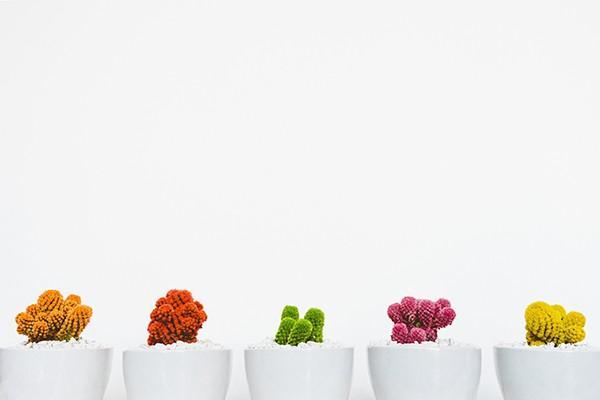 平安保險(xiǎn)電話投訴熱線