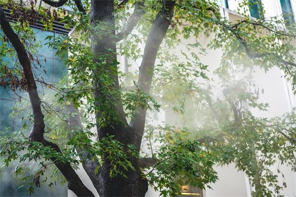 嬰兒保險一年多少錢啊