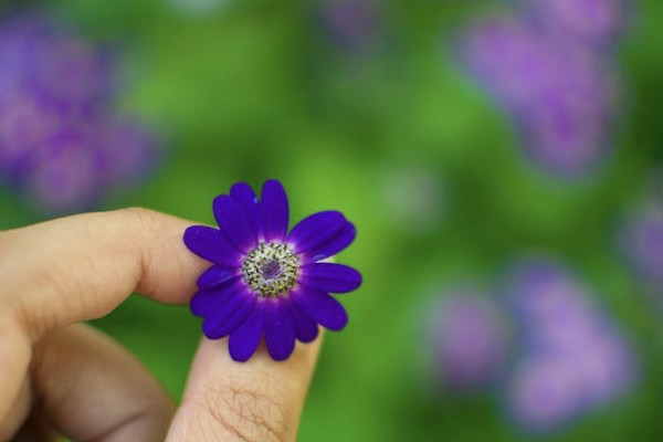 養(yǎng)老保險是從哪一年開始交的