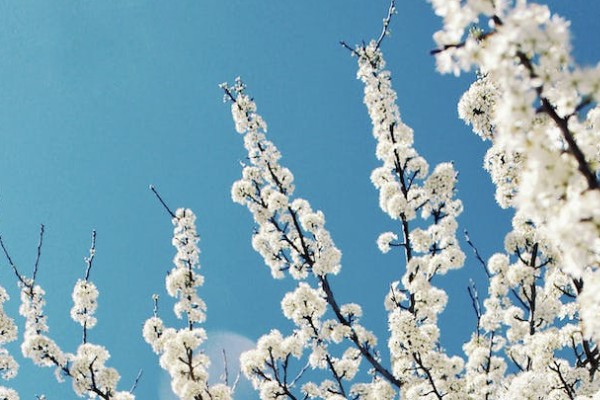 躉交保險(xiǎn)分紅型和萬能型的區(qū)別