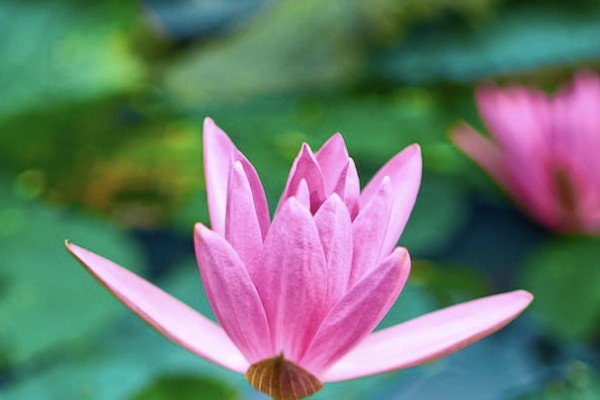 60歲以上老人醫(yī)療保險(xiǎn)一年多少錢