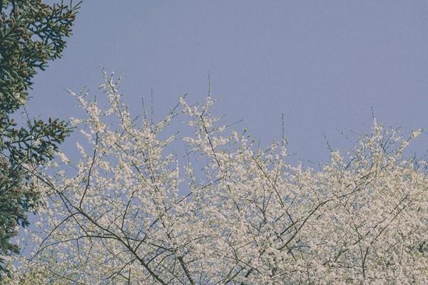 五險(xiǎn)一個(gè)月要交多少錢