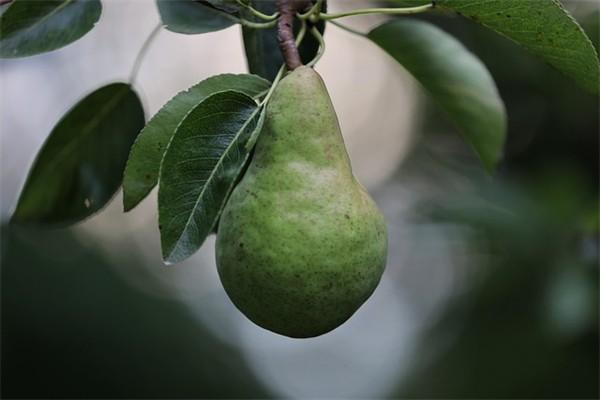 保險快速理賠怎么操作