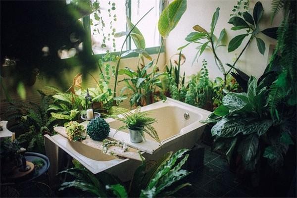 保險返還型好還是消費型好