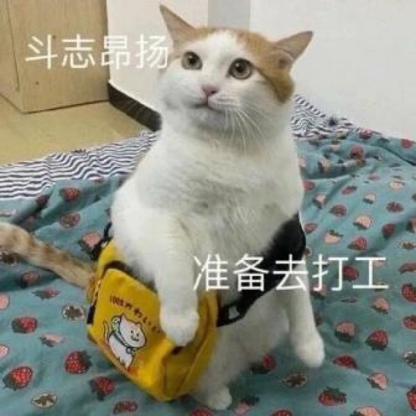 個(gè)人養(yǎng)老金