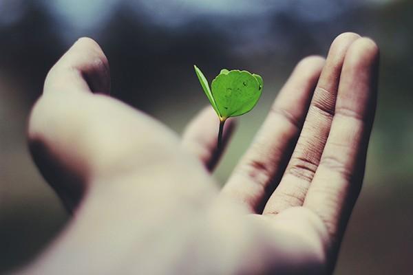 投訴保險(xiǎn)公司最有效的電話