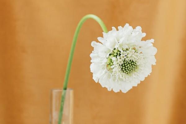 保險(xiǎn)賠付一般多久可以到賬戶