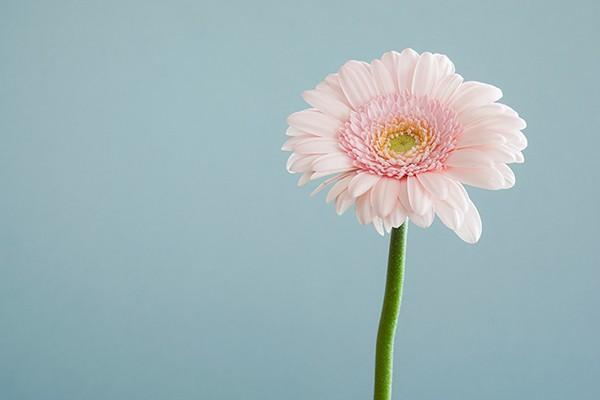 保險公司不理賠怎么投訴？不成功是什么原因？