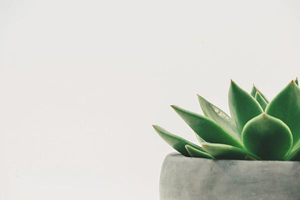 學(xué)生保險(xiǎn)是怎么理賠的