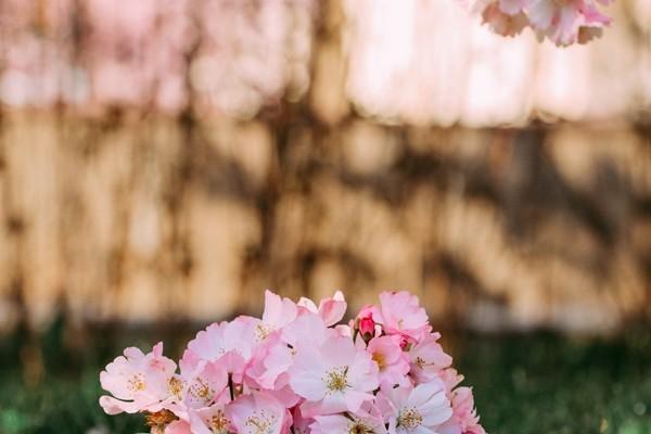 農(nóng)民養(yǎng)老金60歲一月多少錢