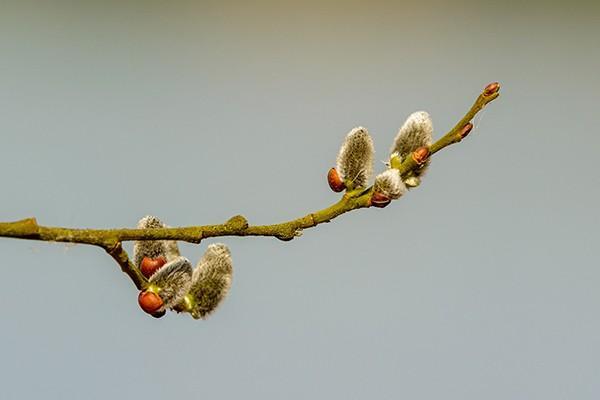 中國(guó)人壽分紅型保險(xiǎn)可靠嗎