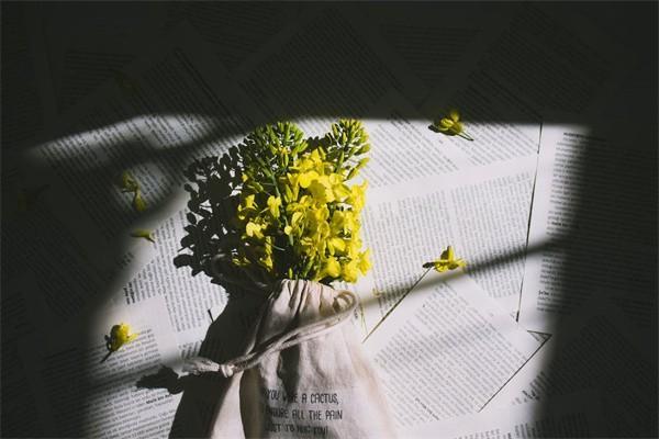 個人交保險怎么交