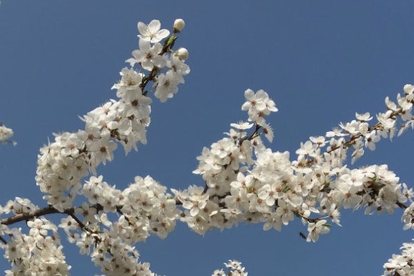 理財(cái)保險(xiǎn)到底能不能買