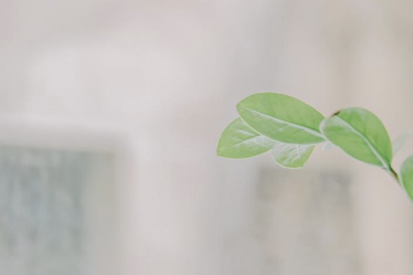 新華保險(xiǎn)重疾包括哪些