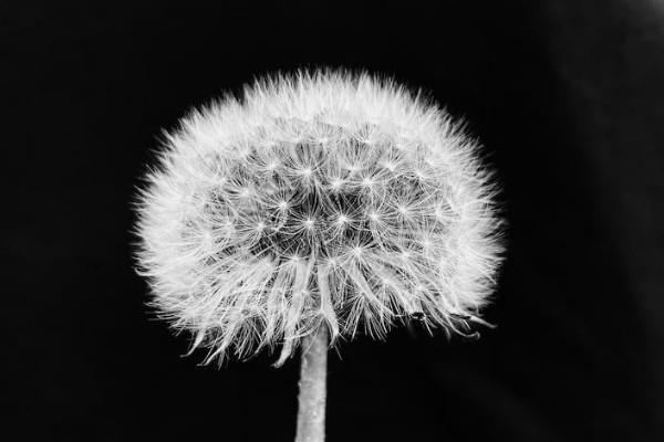 統(tǒng)籌保險不理賠向哪里投訴？不理賠的情況有哪些？