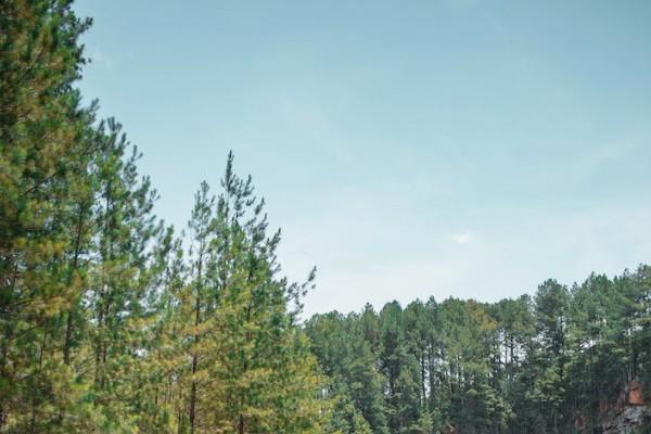 平安學(xué)平險怎么理賠？理賠需要哪些資料？