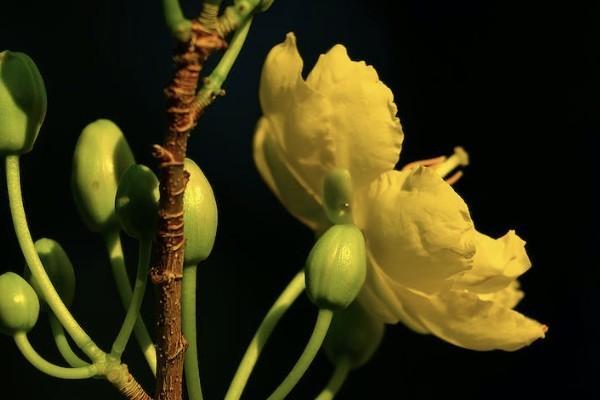 重疾險和醫(yī)療險哪個更值得購買？可以同時理賠嗎？