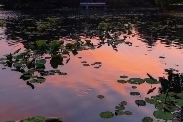 猝死屬于意外險(xiǎn)理賠嗎？意外險(xiǎn)理賠范圍包括哪些？
