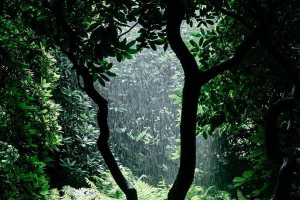 保險(xiǎn)多久可以理賠？理賠需要多長(zhǎng)時(shí)間？