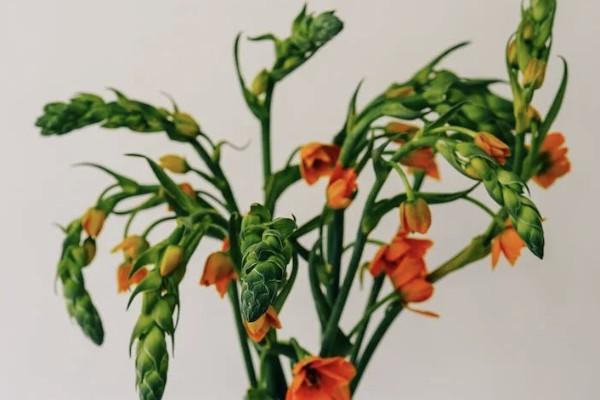 120種重大疾病保險(xiǎn)有必要買嗎？買重疾險(xiǎn)要注意什么？