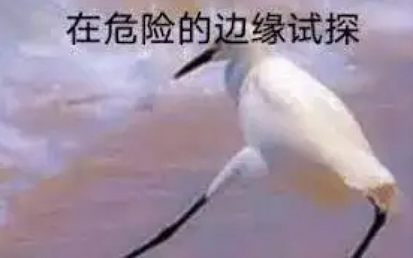 大地震！增額終身壽即將迎來團滅？！