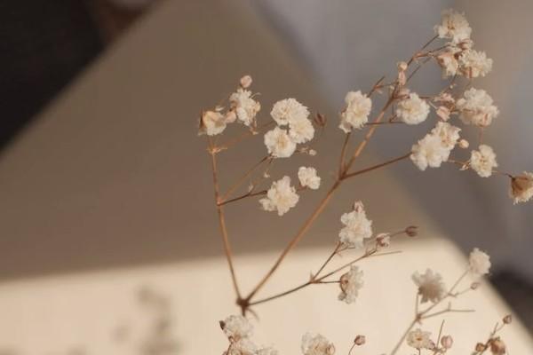養(yǎng)老保險(xiǎn)斷交可以補(bǔ)交嗎？要繳多少年？