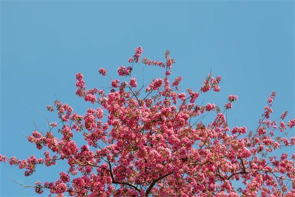 保險(xiǎn)理賠期限是多久？理賠不合理怎么解決？
