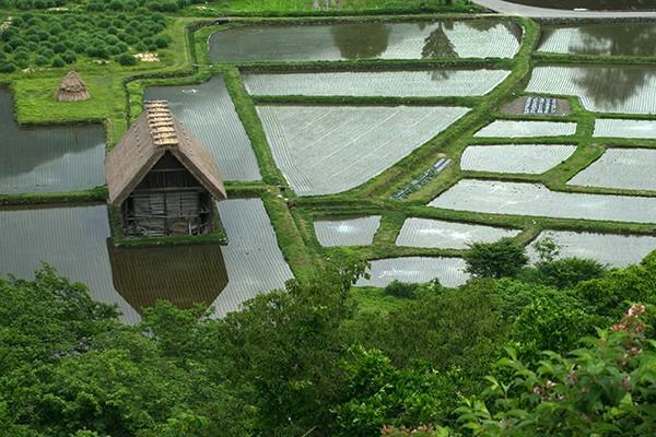 商業(yè)養(yǎng)老保險哪家保險公司好？一年交多少？