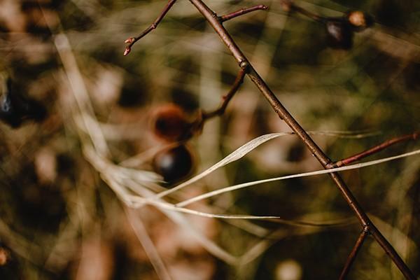 大病醫(yī)療互助保險報銷范圍是怎樣的？報銷多少錢？