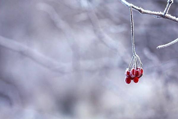 浙江大病保險(xiǎn)起付線是多少錢 