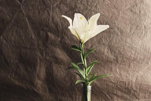 新農(nóng)合有大病保險嗎？保障范圍有哪些？