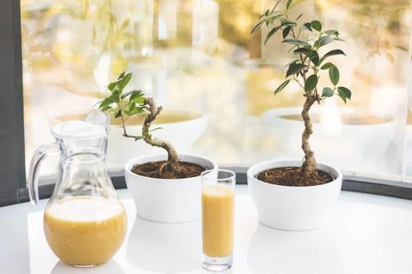 終身重大疾病保險有必要買嗎？購買時要注意什么？