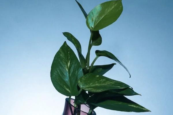 大病醫(yī)療保險怎么報銷??？要準備哪些資料？