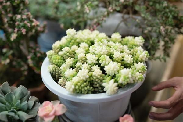 買醫(yī)療保險在哪里買？多久能生效？