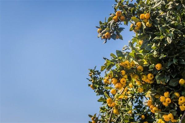 醫(yī)療保險(xiǎn)都包括什么險(xiǎn)種？一年多少錢？