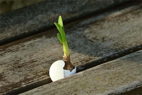 大病醫(yī)療怎么辦