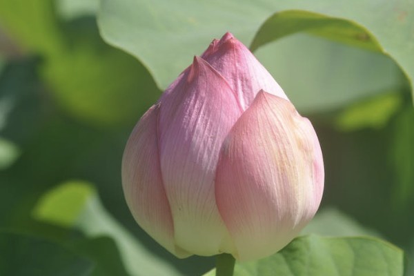 年金險(xiǎn)什么年齡買合適？該如何選擇？