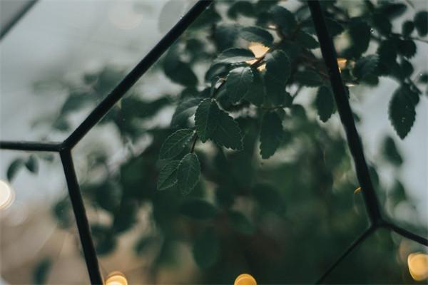 今年個(gè)人養(yǎng)老交多少錢2022？繳費(fèi)記錄怎么查？