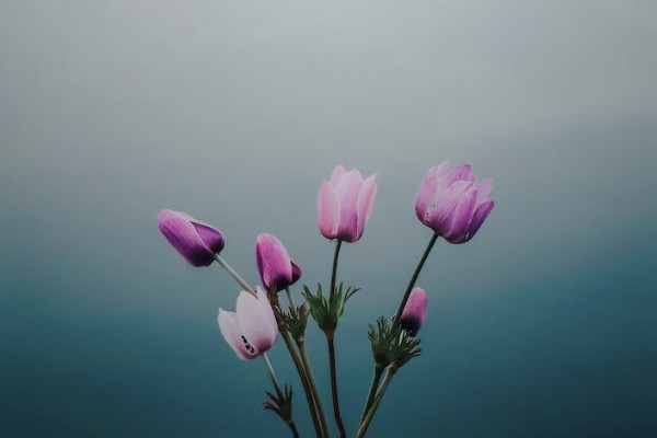 城鄉(xiāng)居民養(yǎng)老保險(xiǎn)繳費(fèi)怎么交
