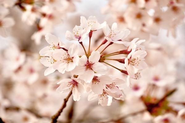 網(wǎng)上醫(yī)保怎么繳費(fèi)？多久可以查詢到？