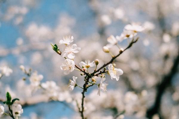 醫(yī)保繳費(fèi)查詢不到個(gè)人應(yīng)繳信息是什么原因？怎么辦？